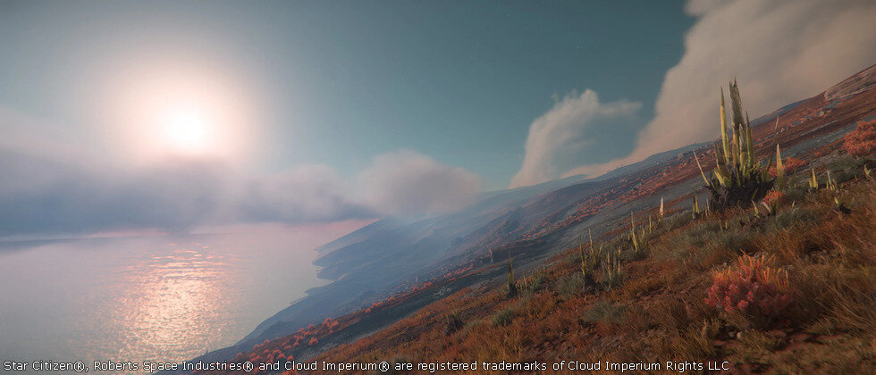Star Citizen Monthly Report - Janvier 2025