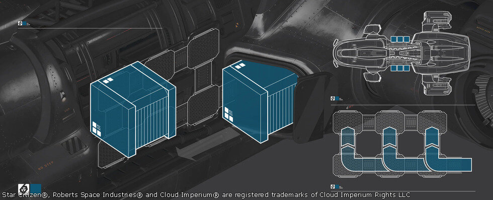 Star Citizen Misc Fortune