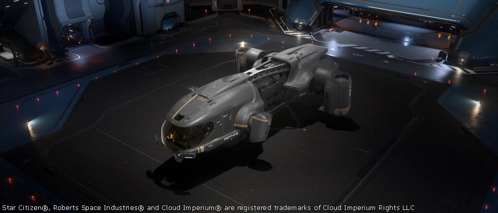 Star Citizen Misc Fortune Reserve Paint