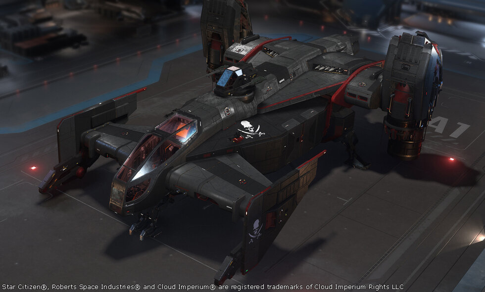 Star Citizen Skin Skull and Crossbone