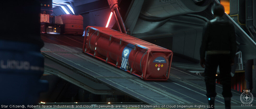 Star Citizen C'est un risque professionnel.